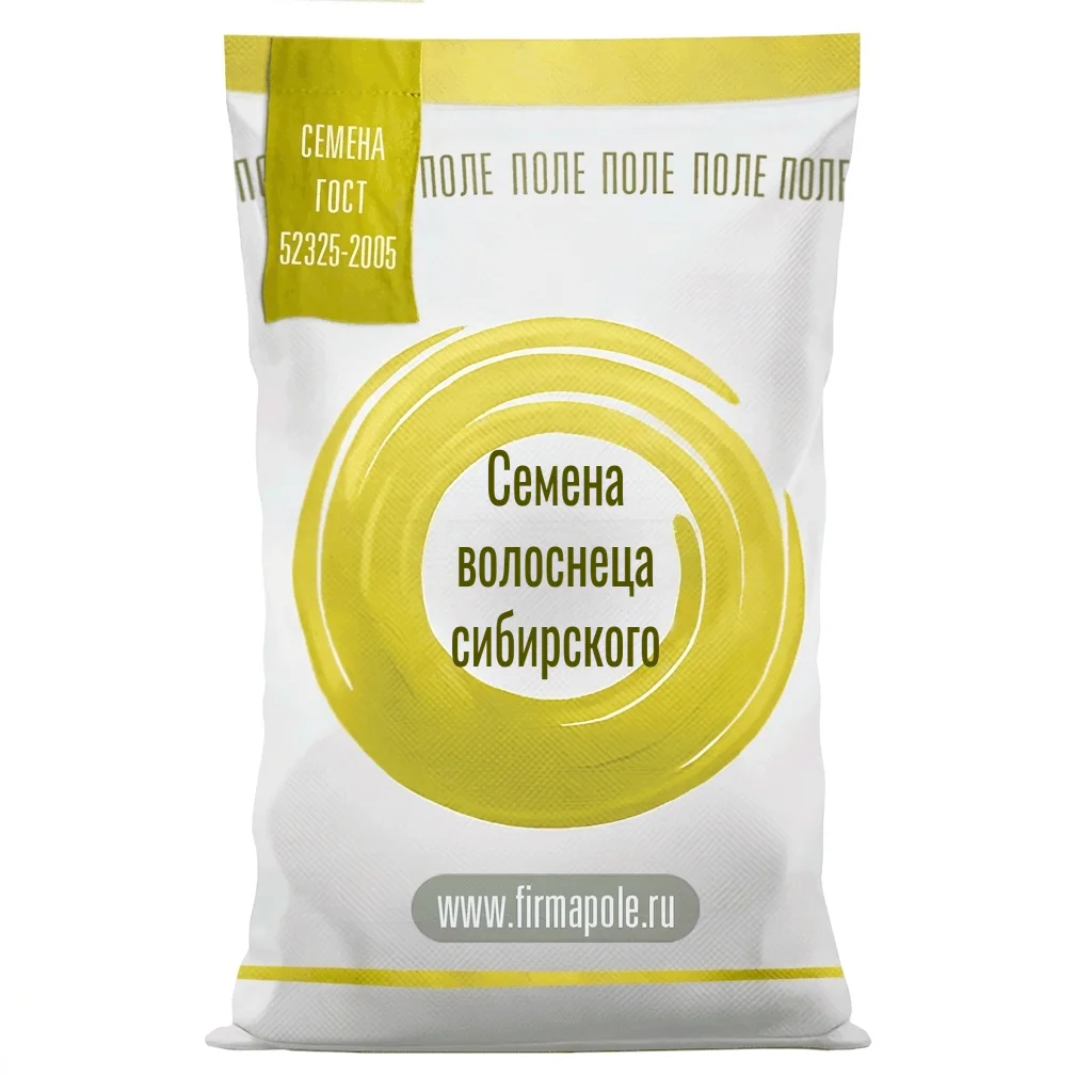 Семена волоснеца сибирского